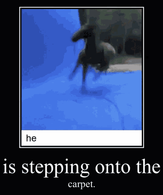 a horse is stepping onto a blue carpet in a poster