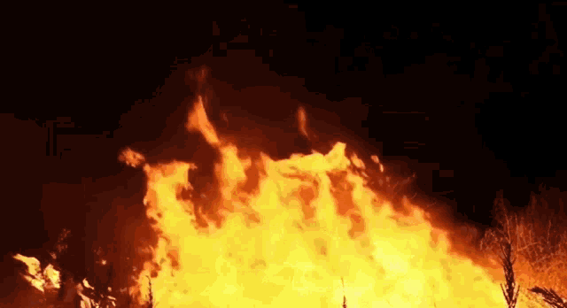Summer Hot GIF
