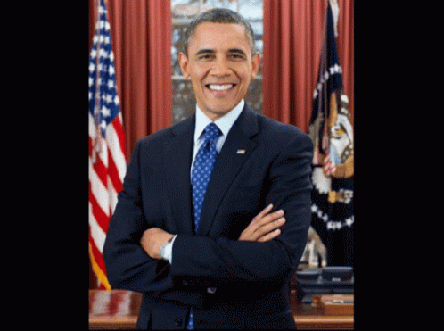 Vv Obama GIF - Vv Obama Chris GIFs