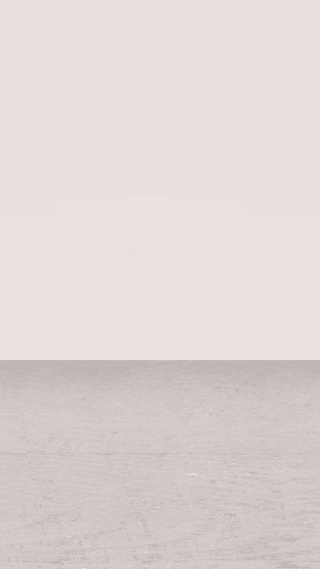 there is a white wall in the background and a white floor in the foreground .