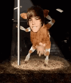 a picture of a cow with a man 's head on it
