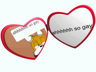 a heart shaped mirror with a picture of a dog and the words ahhhh so gay on it