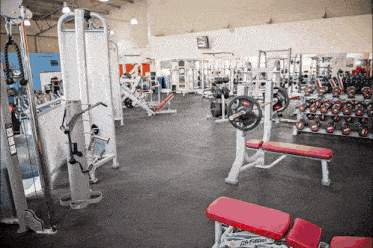 Ellie Goes To The Gym GIF - Ellie Goes To The Gym GIFs