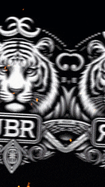 a black and white image of two tigers with the letters ibr in the middle
