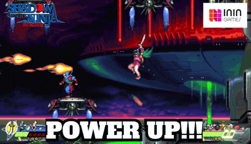 a video game called shadow of the ninja resort