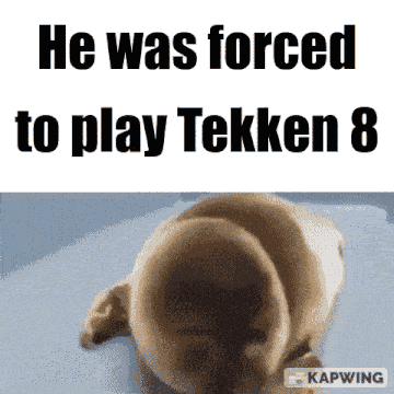 a picture of a dog with the words he was forced to play tekken 8 above it