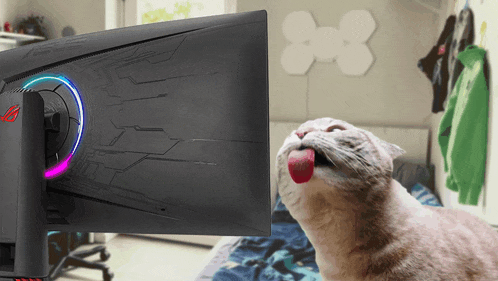 a cat sticking its tongue out in front of a computer monitor that says rog
