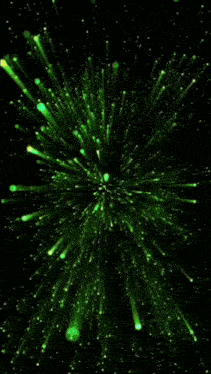 a man and a woman are standing next to each other in front of a green firework display .