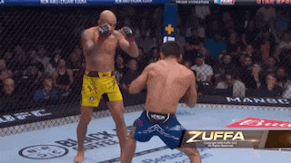 two men are fighting in a boxing ring and one of them is named zuffa