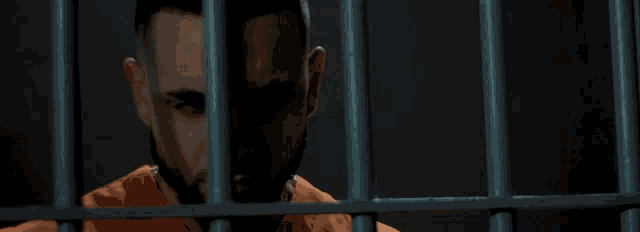 a man with a beard is looking at the camera through a glass window .