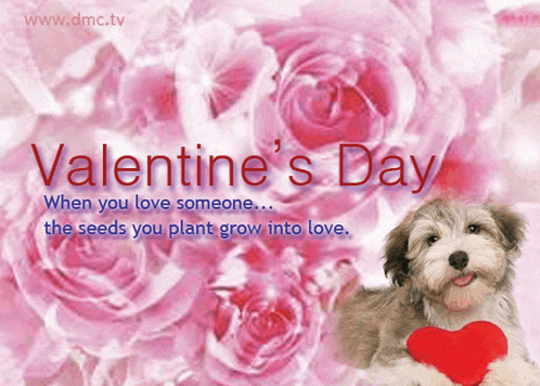 a valentine 's day poster with a dog holding a heart