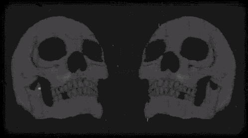 a black and white drawing of two skulls with their mouths open on a black background .