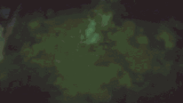 a painting of a frog in a dark forest