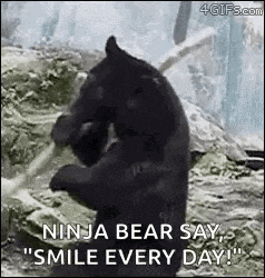 a ninja bear is standing on its hind legs in the snow .
