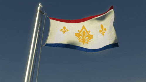 a red white and blue flag with a fleur de lis on it