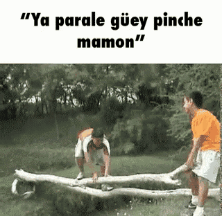 two boys are standing on a log with the words " ya parole guiey pinche mamon "