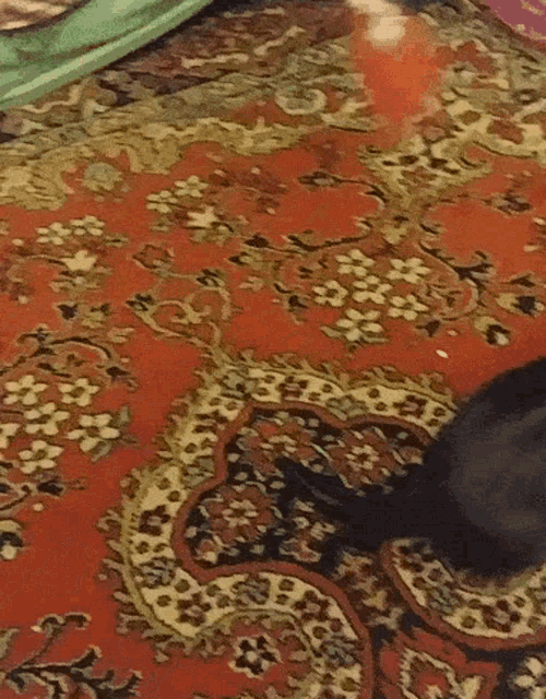 a cat is playing with a toy on a red rug