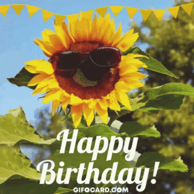 a sunflower wearing sunglasses and the words happy birthday on the bottom