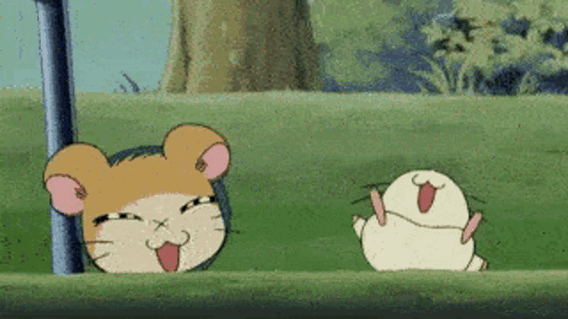 a hamster and a rabbit are standing in the grass .