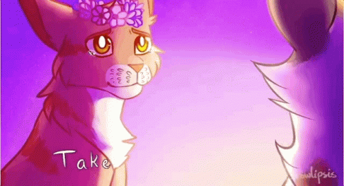 Warrior Cats Take It From Me GIF - Warrior Cats Take It From Me Sad GIFs
