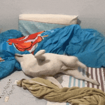 a dog laying on a bed with a blanket that says baby co.