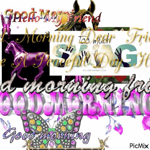 a picture of a horse with the words good morning written on it