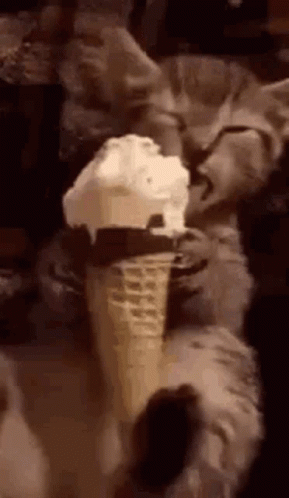 Ice Cream Ice Cream Cone GIF - Ice Cream Ice Cream Cone Lick GIFs