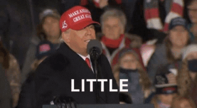 donald trump is wearing a make america great again hat while speaking into a microphone in front of a crowd .