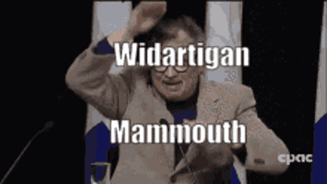 a man in a suit is giving a speech and the words widartigan mammouth are written on the screen