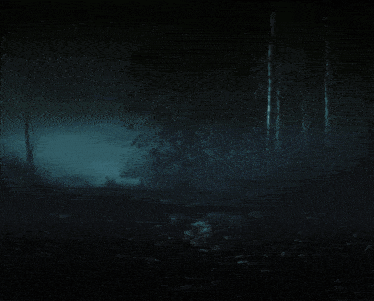 a dark forest with trees and leaves and a light shining through the trees