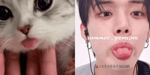 Yeonjun Cat Blep Tongue GIF - Yeonjun Cat Blep Tongue GIFs