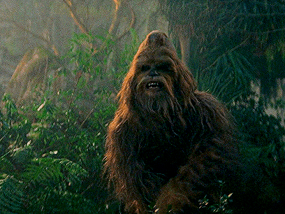 a chewbacca from star wars is standing in the woods