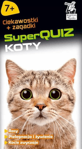Kot Koty Super Quiz GIF - Kot Koty Super Quiz Kociamber GIFs