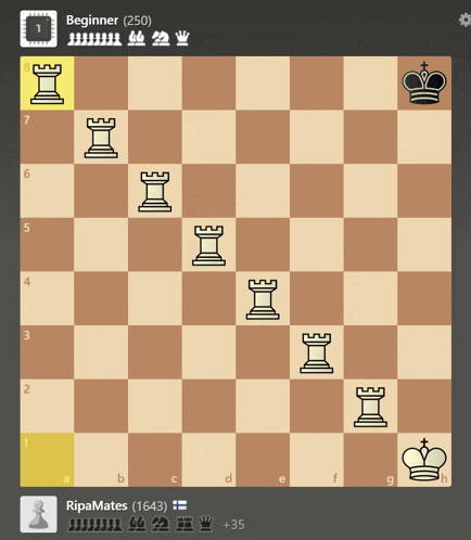 a computer screen shows a chess game being played between a beginner and ripamates