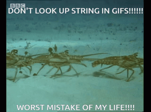 String Lobster GIF - String Lobster Discord GIFs