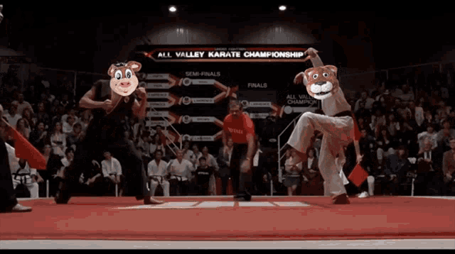 the all valley karate championship is being played in a stadium