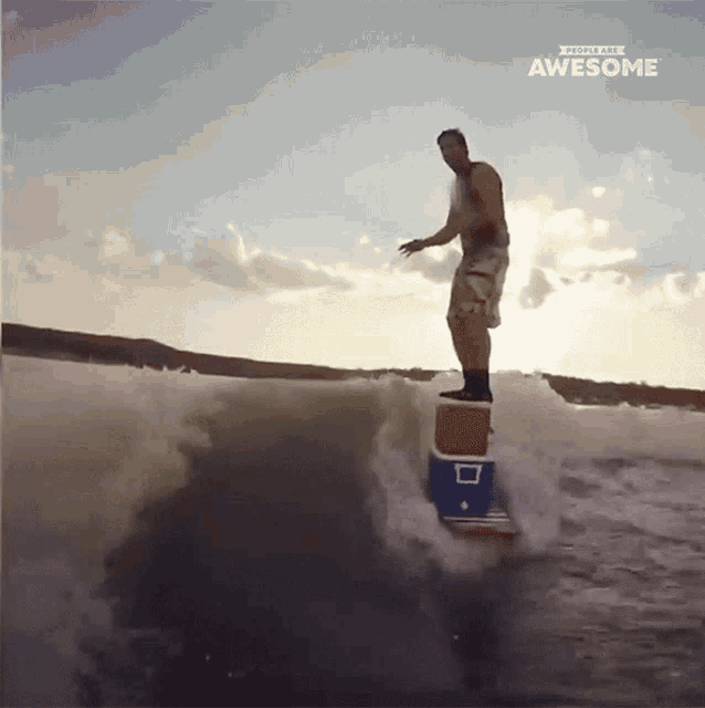 Surfing Surfboard GIF - Surfing Surfboard Water Activity GIFs