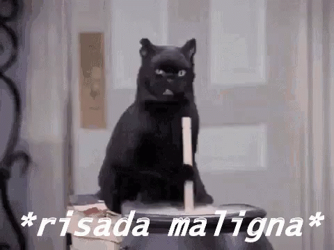Gatopreto Caldeirão Risadamaligna Muahaha GIF - Black Cat Cauldron Evil Laugh GIFs
