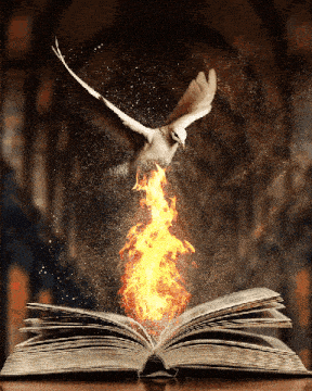 an open book with flames coming out of it and a bird flying over it