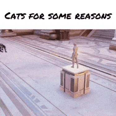 Cats For GIF - Cats Cat For GIFs