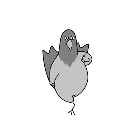 a black and white drawing of a pigeon with a large belly