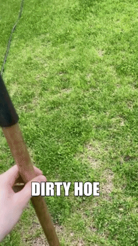 a person is holding a wooden stick in the grass with the words `` dirty hoe '' above it .
