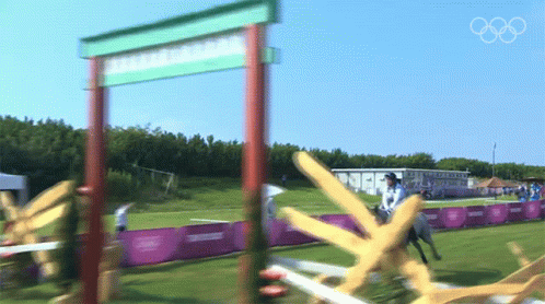 Riding A Horse Oliver Townend GIF - Riding A Horse Oliver Townend Great Britain Olympic Team GIFs
