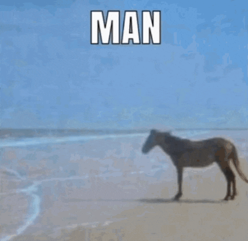 a woman is walking on a beach with the word man behind her
