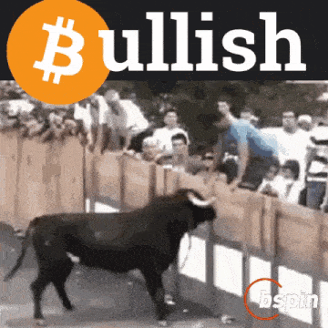 Bspin Bitcoin Meme GIF
