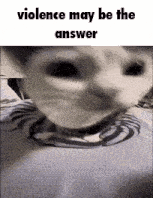 a close up of a cat 's face with the words `` violence may be the answer '' written below it .