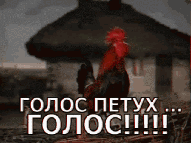 a rooster is standing in front of a house with the words " голос петуха " written in white