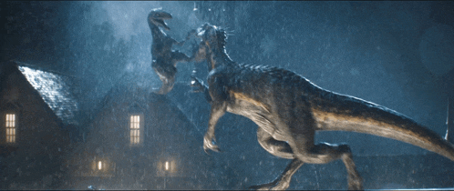a couple of dinosaurs are fighting in the rain