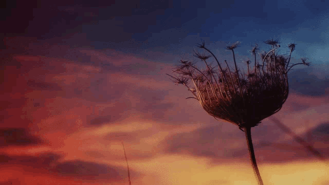 a woman stands in front of a cloudy sky