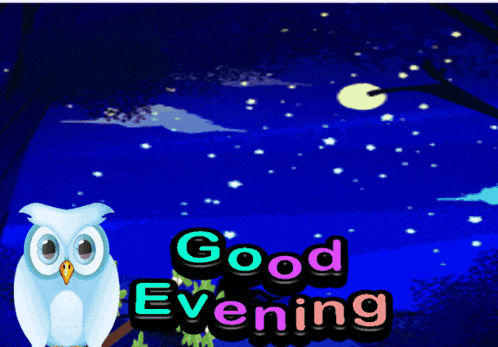 a cartoon owl says good evening with a man behind it